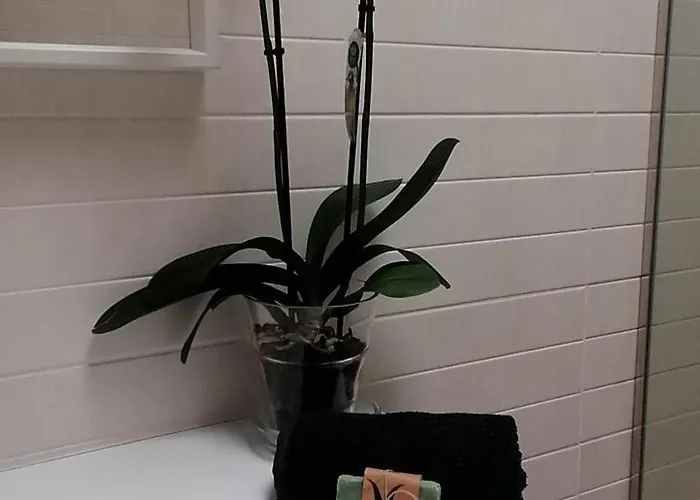 Paraiso Del Muelle * Morro Jable (Fuerteventura)