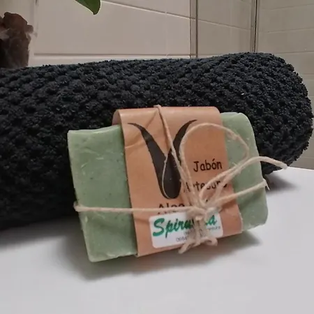 ホームステイ Paraiso Del Muelle モロ・デル・ハブレ