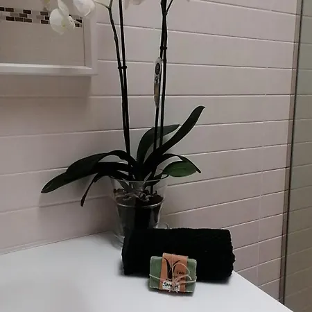 Paraiso Del Muelle * モロ・デル・ハブレ